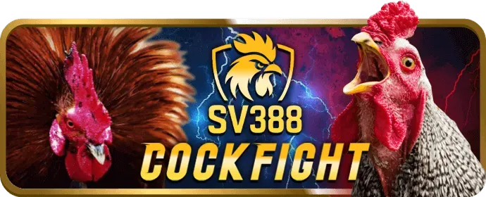 Tin tức giải đấu thể thao miso88 và eSports