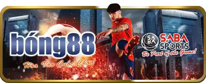 Đội ngũ chuyên nghiệp miso88